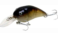 Micro Mite LED Lure - Black / Green