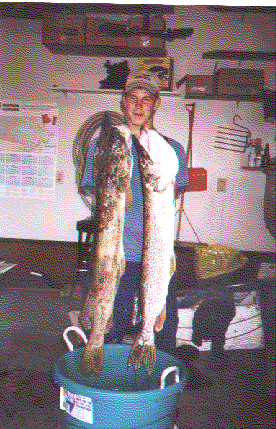 two big northern pike from Long Lake Saskatchewan