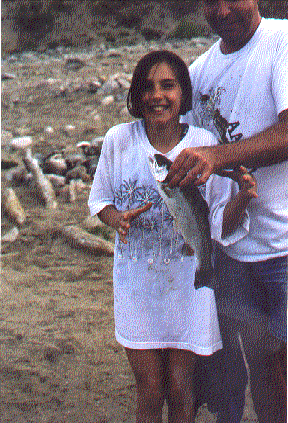rainbow trout