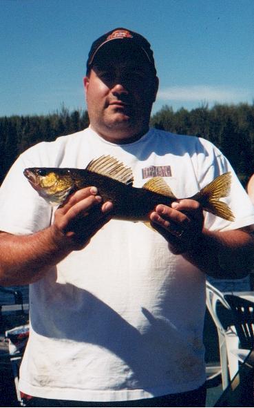 Walleye by Tim