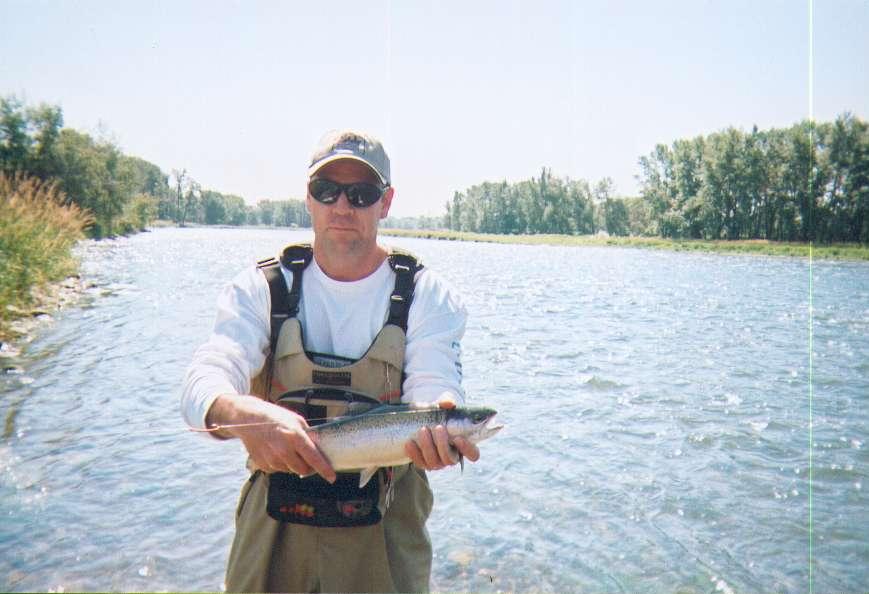 Rainbow Trout