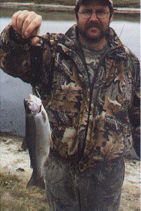 fly rod rainbow trout