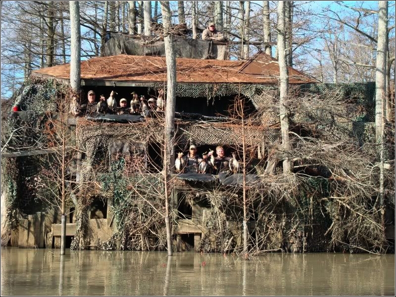Louisiana duck blind
