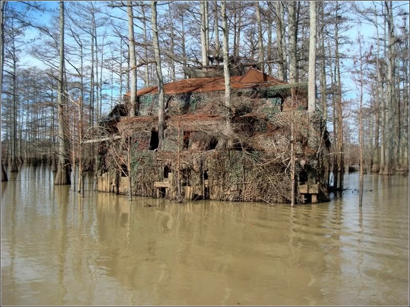 Louisiana duck blind