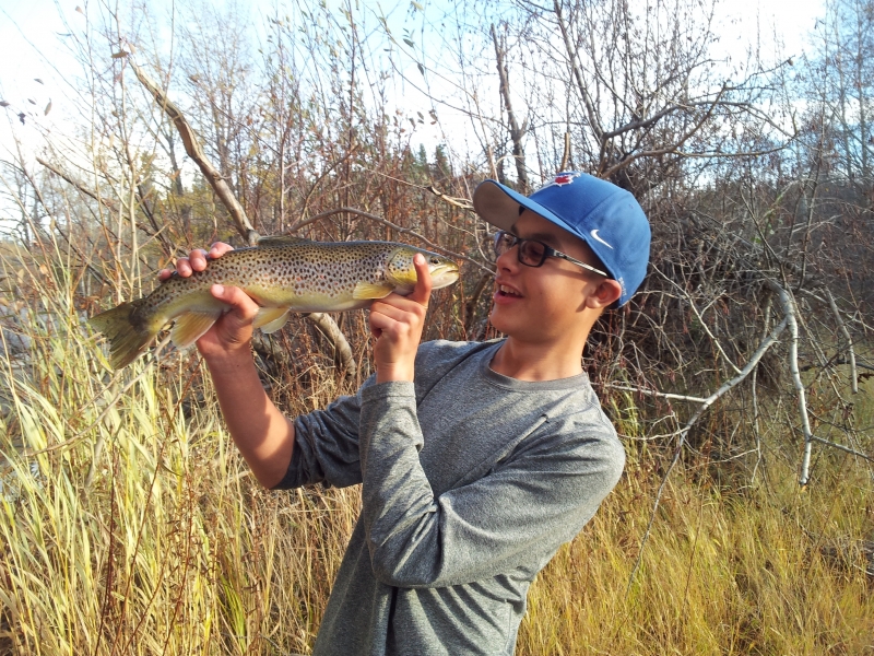 Jumpingpound Creek Brown Trout
