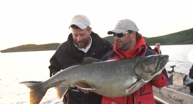 Big Lake Trout