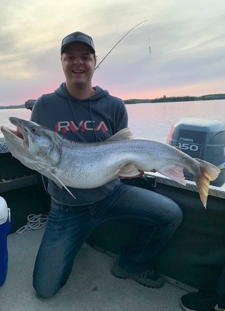 Laronge Lake Trout