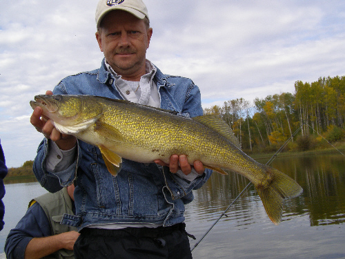Walleye fishing