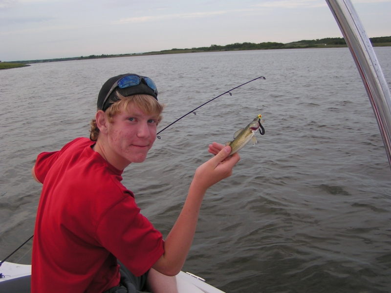 Small Walleye