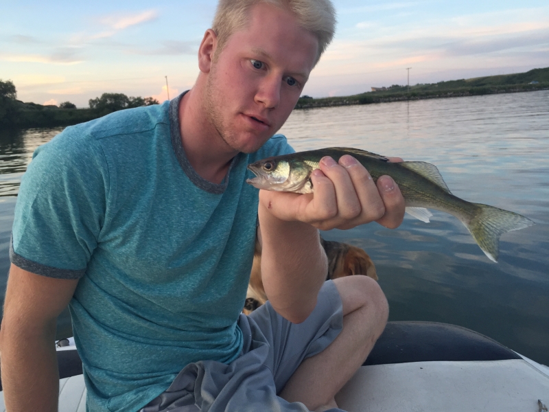 An Amazing Walleye