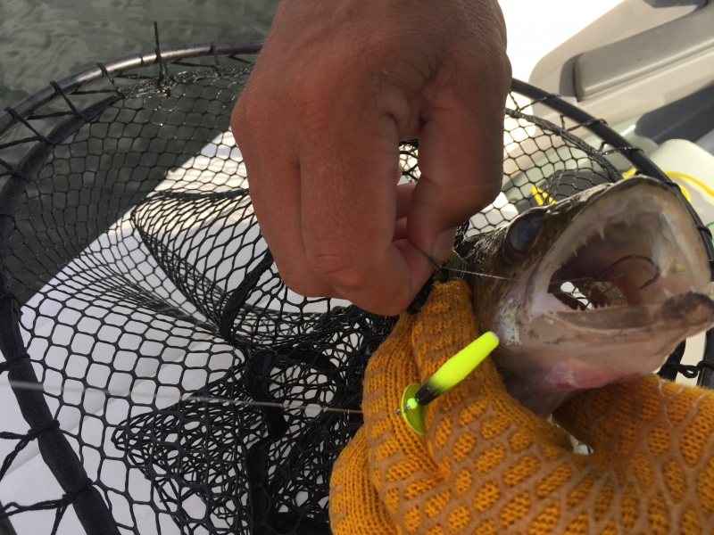 Removing the Hook