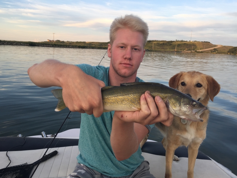 Dog wants a bite.