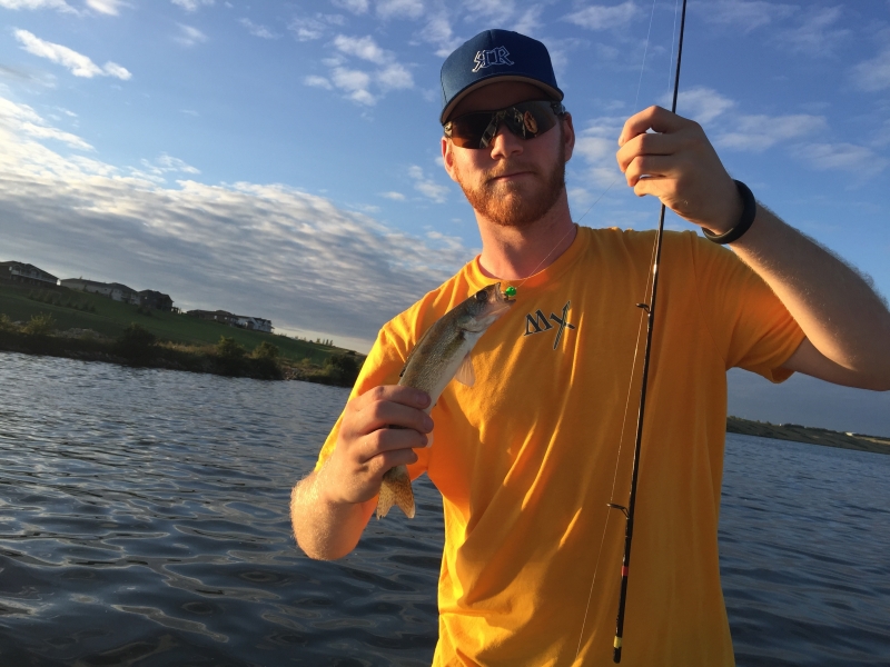 Little Summer Walleye
