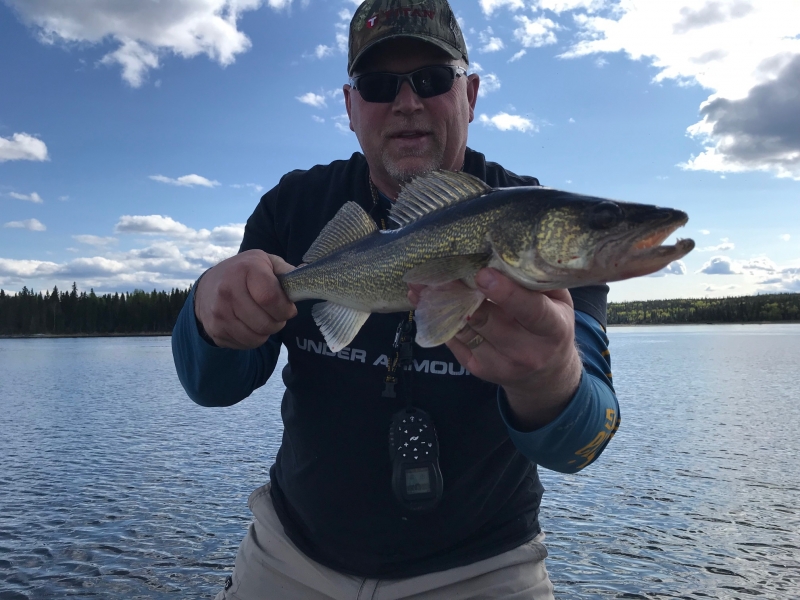 Spring Walleye