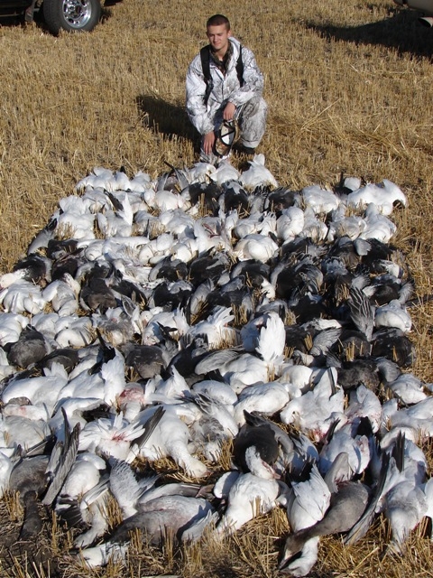 2006 Fall Snow Goose Hunt