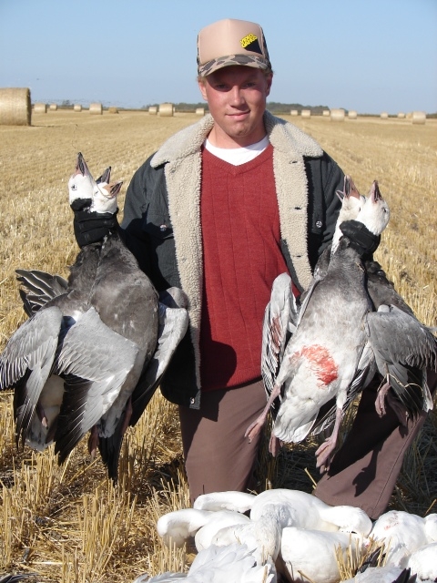 Snow Goose Hunting