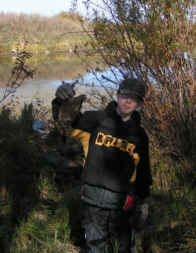 Brett with a Teal