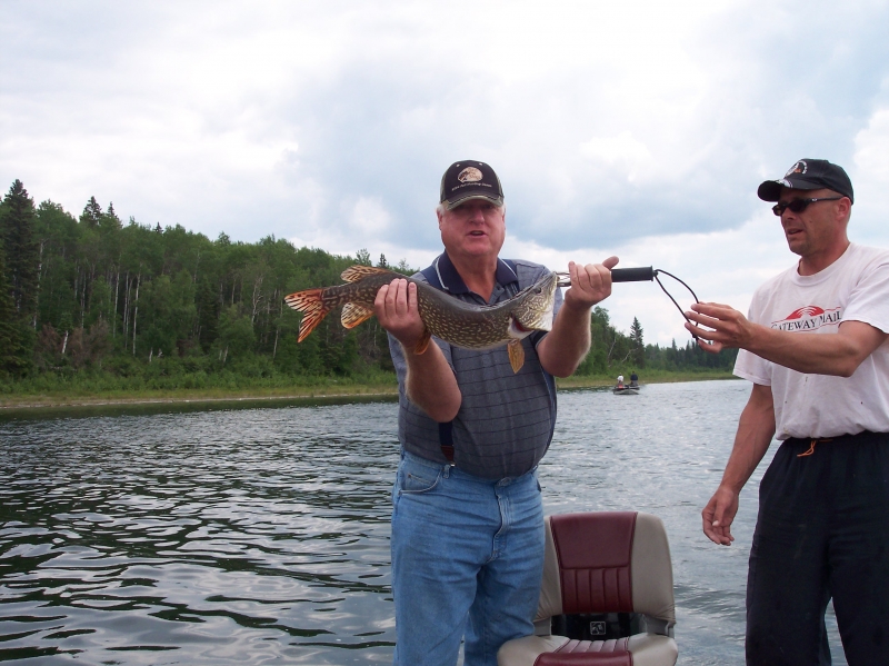 Northern Pike