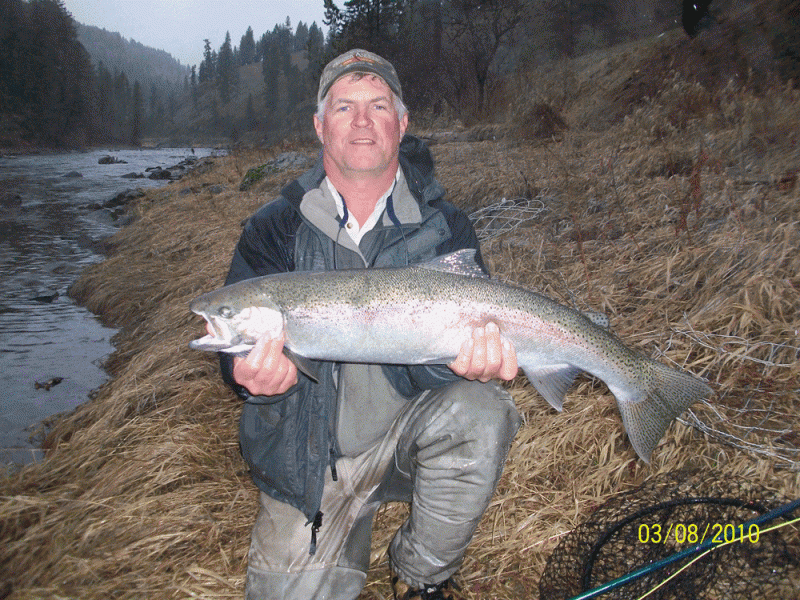 Idaho Steelhead