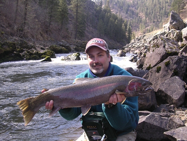 Idaho Steelhead