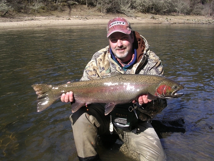 Steelhead by Tim