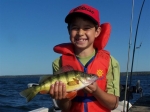 Tobin Lake Perch