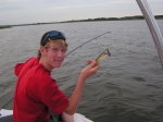 Small Walleye