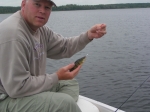 Manitoba Perch