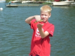 Little Perch