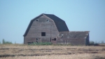 Old brown barn