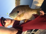South Dakota Blue Gill