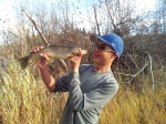 ||brown trout are awesome||brown trout are awesome Jumpingpound Creek Brown Trout