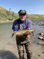 Beautiful Brown Trout