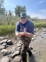 Small Brown Trout
