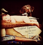Baby Colton