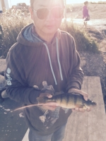 Big Perch