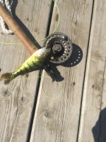 Monster Perch