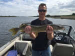 Nice Blackstrap Pike