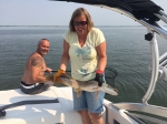 Fishing Lake Pike