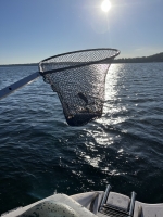 Sunny days and Pike are Biting