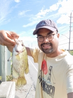 One of the most beautiful Rock Bass