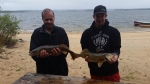 2 Guys, 2 Nice Walleye