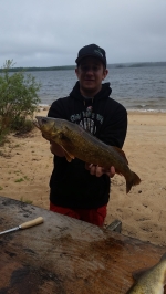Nice Norhern Walleye
