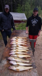 Table Full of Walleye