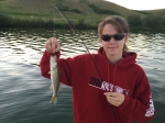 Little Summer Walleye