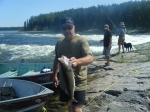 Walleye at The Falls