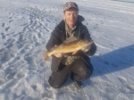 3 lb walleye Bittern Lake.