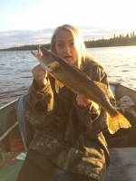 Walleye 