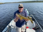 Cree River Lodge Walleye
