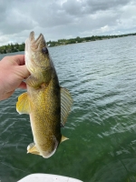 25â€ Walleye on the fly